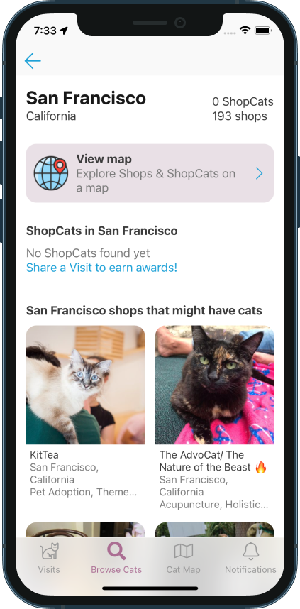 Meet shop cats in your city